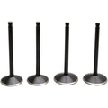 BLACK DIAMOND™ VALVE KITS FOR HARLEY DAVIDSON