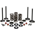 BLACK DIAMOND™ MOTORVENTIL-KITS FÜR HARLEY DAVIDSON