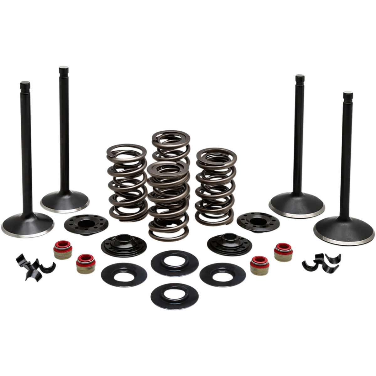 BLACK DIAMOND™ ENGINE VALVE KITS FOR HARLEY DAVIDSON