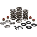 Racing-Ventilfeder-Kits für Harley Davidson