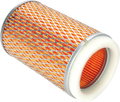 EMGO AIR FILTERS A-FLTR KAW 11013-005