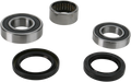 PIVOT WORKS WHEEL BEARING AND SEAL KITS BEARING RR WHL Y15-000
