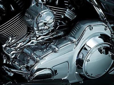 Primaire embels voor Harley-Davidson® Touring Inner Primary Cover Trim