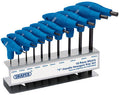 Set of 10 Professional Allen Keys with "T" Handle, Metric Hexagonal