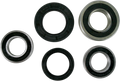 PIVOT WORKS WHEEL BEARING AND SEAL KITS BEARING RR WHL S05-000