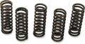 BARNETT CLUTCH KITS, DISCS AND SPRINGS BARNETT SPRING SET