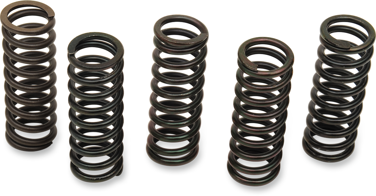 BARNETT CLUTCH KITS, DISCS AND SPRINGS BARNETT SPRING SET