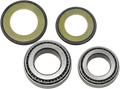 ALL BALLS STEERING STEM BEARINGS ALL BALLS STRG STEM BRGS