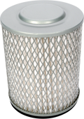 EMGO AIR FILTERS A-FLTR HON 17211-447-620