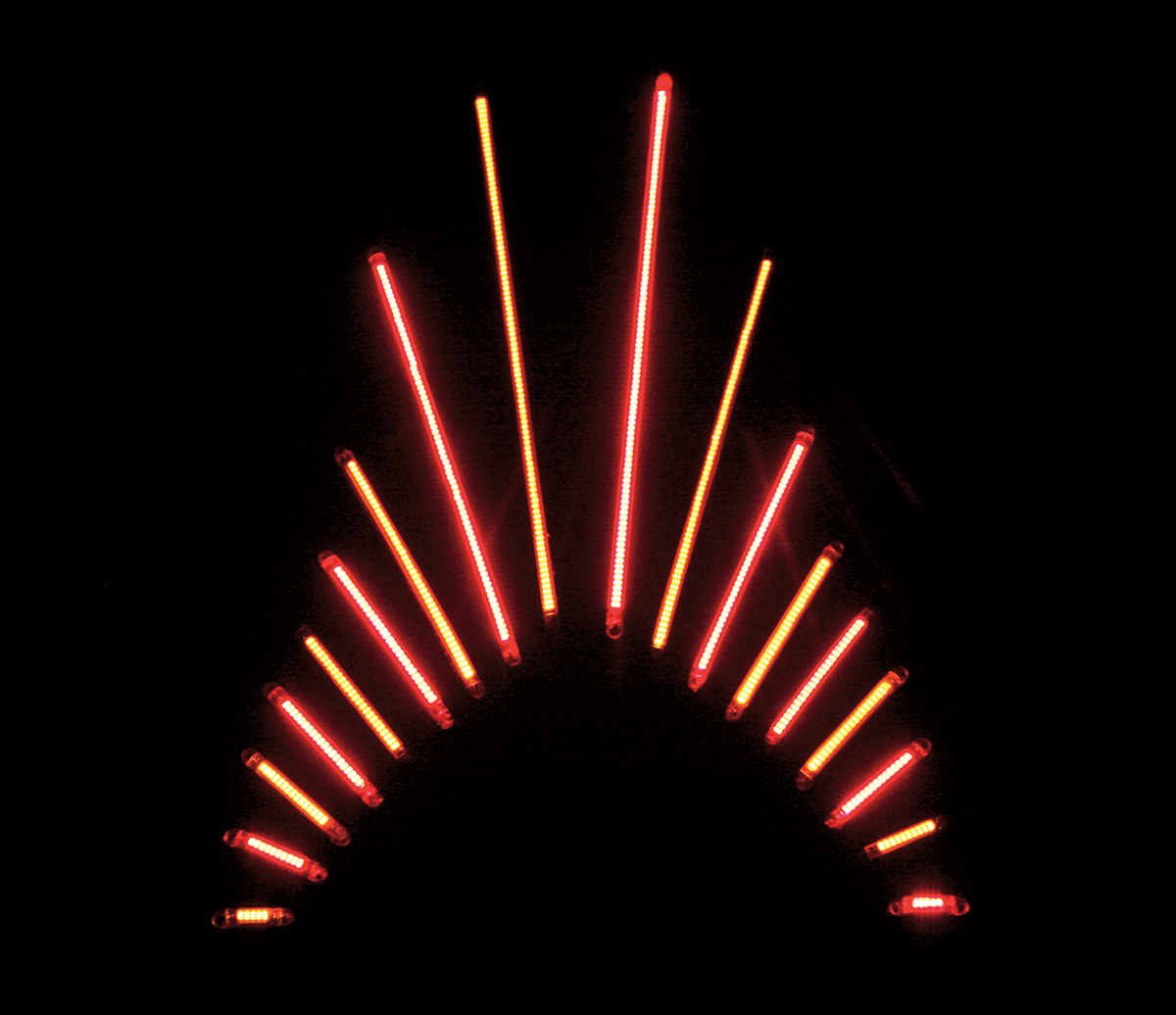 CUSTOM DYNAMICS TRUFLEX® PROFESSIONAL-GRADE FLEXIBLE LED LIGHTING STRIPS LIGHT TRUFLEX 100RED/RED