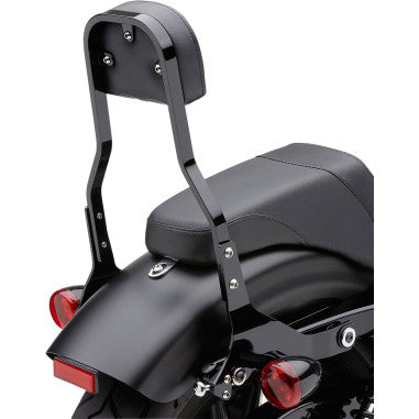 DETACHABLE BACKREST KITS FOR HARLEY-DAVIDSON