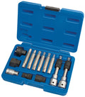Extractor De Alternador Profesional Expert 13 Piece Alternator Pulley Tool Kit