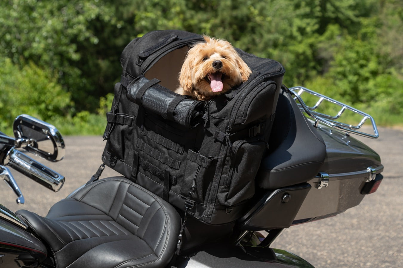 Kuryakyn 5723 Pet Palace Titan Motorcycle Pet Transport Bag