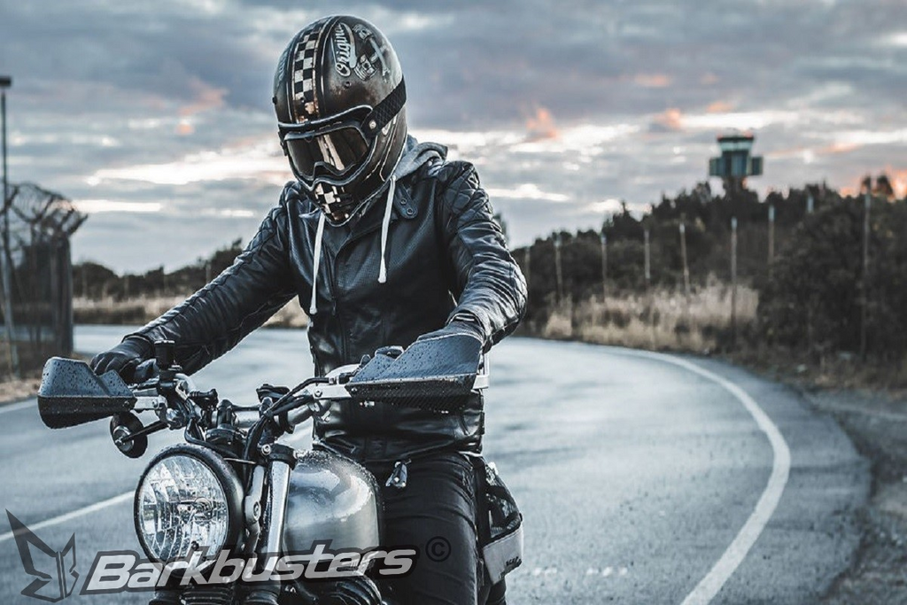 Carbon Handguards