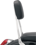 COBRA SISSY BARS SISSY BAR W/PAD ACE SHRT