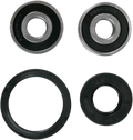 PIVOT WORKS WHEEL BEARING AND SEAL KITS BEARING FRT WHL Y04-000