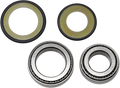 ALL BALLS STEERING STEM BEARINGS ALL BALLS STRG STEM BRGS