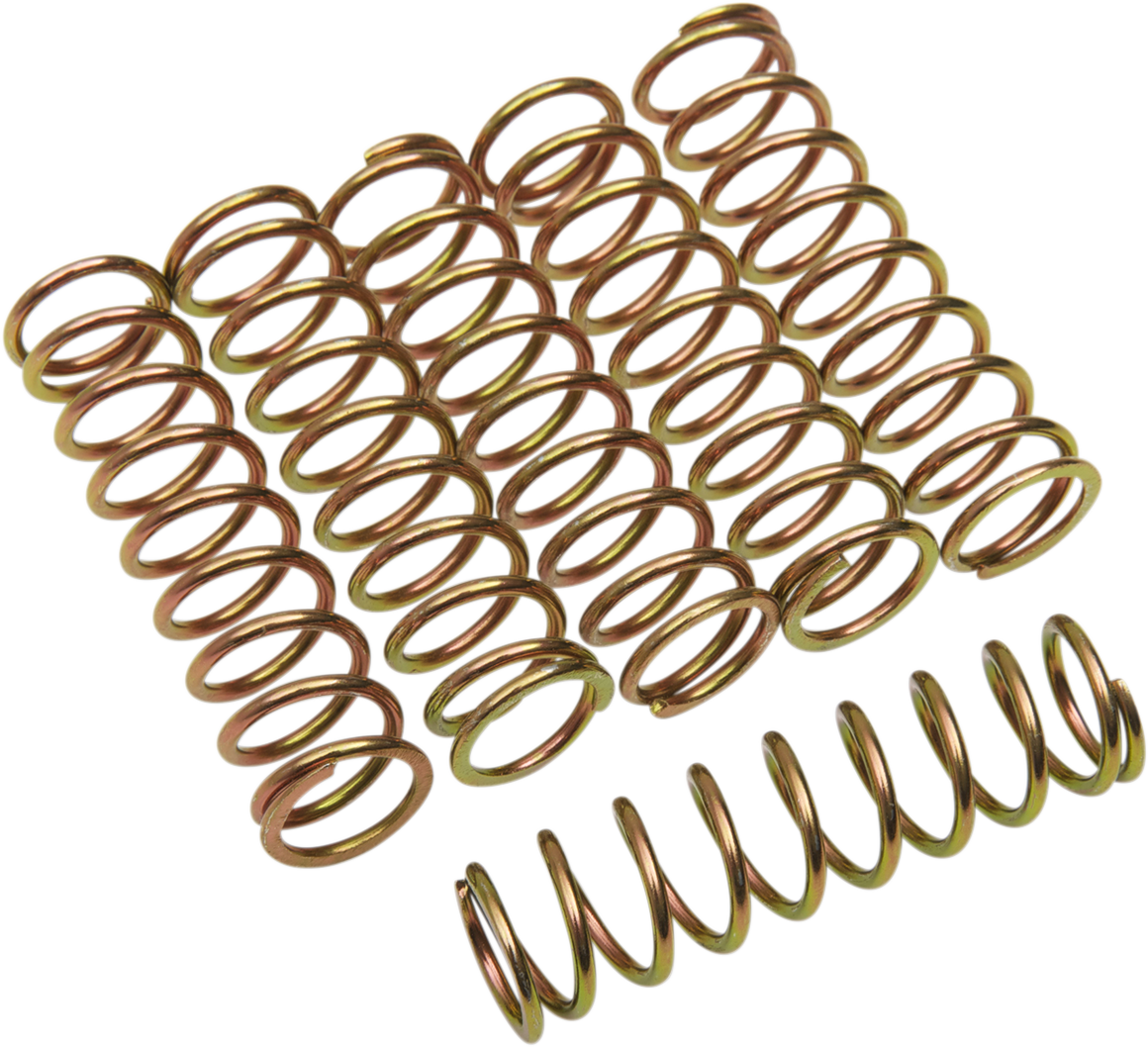 BARNETT CLUTCH KITS, DISCS AND SPRINGS BARNETT SPRING SET