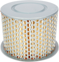 EMGO AIR FILTERS A-FLTR HON 17211-460-000