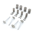 Manley Race Master Valve Kit, High Lift For Harley-Davidson