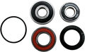 PIVOT WORKS WHEEL BEARING AND SEAL KITS BEARING RR WHL H02-000