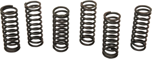 BARNETT CLUTCH KITS, DISCS AND SPRINGS BARNETT SPRING SET