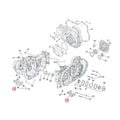 Motor Mount Plate Set, Lower Front For Harley-Davidson
