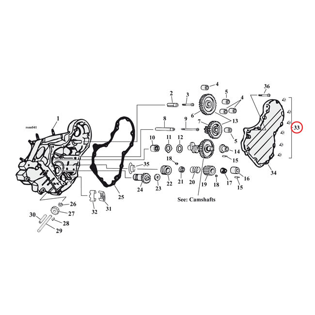 Gardner-Westcott, Cam Cover Mount Kit. Acorn For Harley Davidson