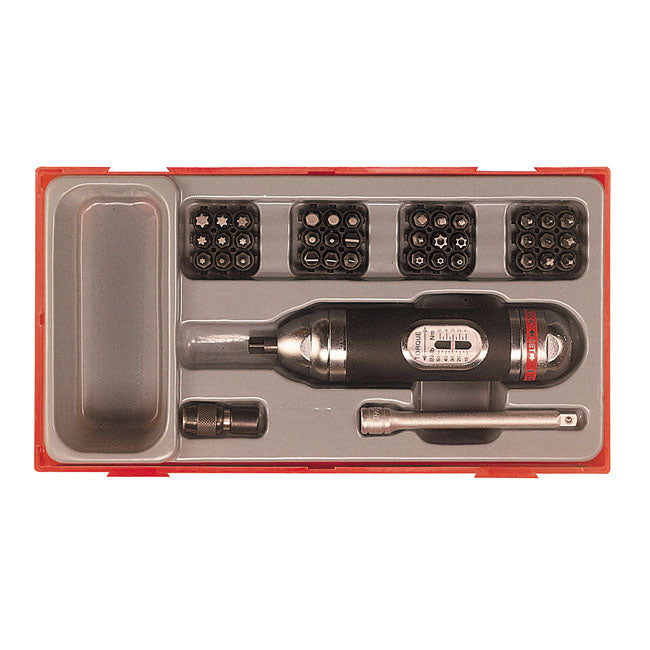 Teng Tools, Screwdriver Torque Wrench Kt For Harley-Davidson