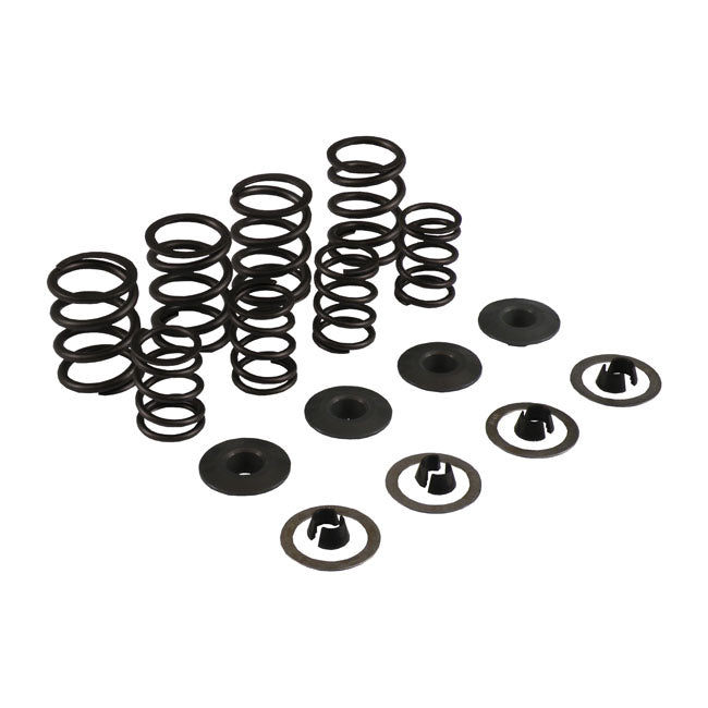 Kpmi Valve Spring Kit, .460 Lift For Harley-Davidson