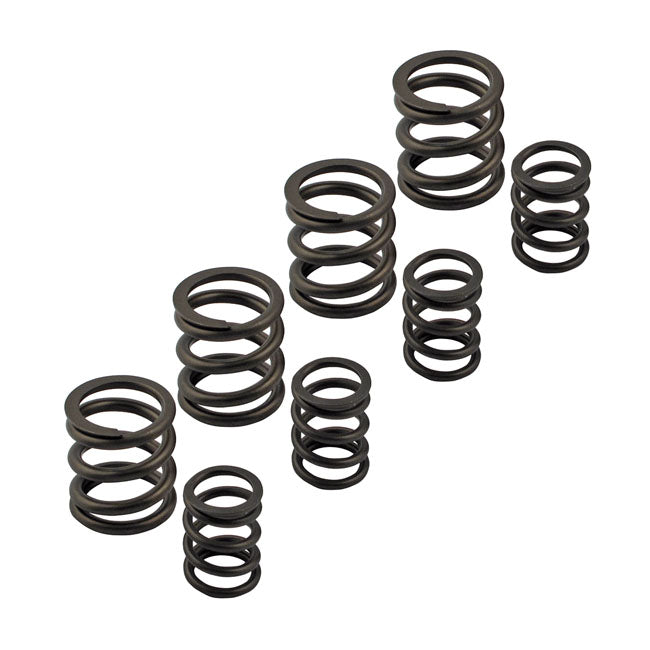 Kpmi Sportster Valve Spring Set For Harley-Davidson