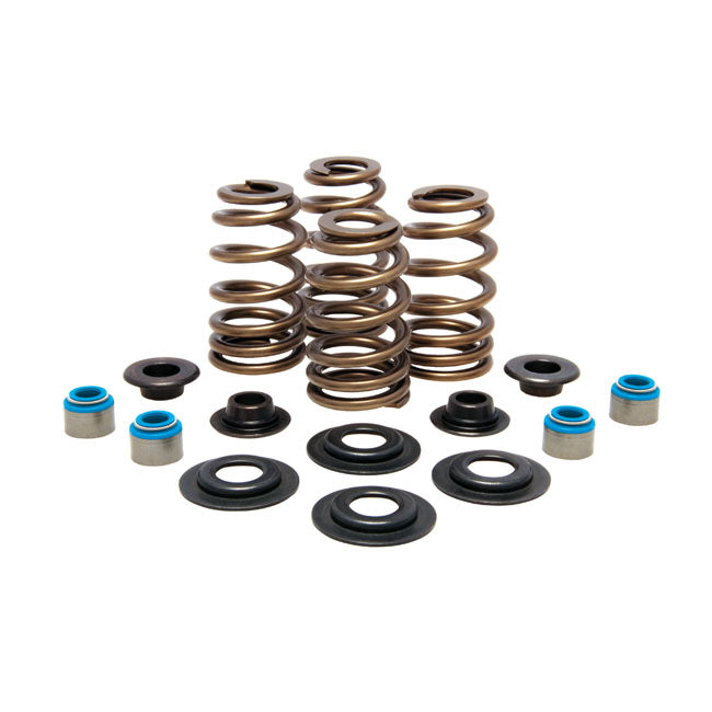 Kpmi Beehive Valve Spring Kit .600 Lift For Harley-Davidson