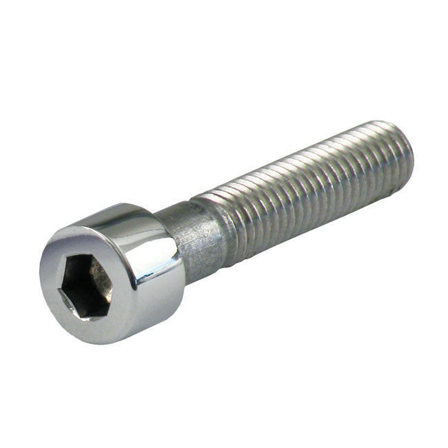 M8 X 40mm Allen Bolt, Polished Stainless For Harley-Davidson