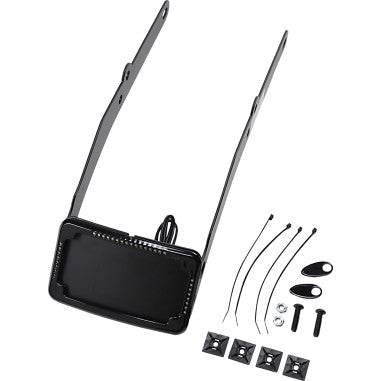 CURVED LICENSE PLATE MOUNTS WITH LED LIGHTS FOR HARLEY-DAVIDSON