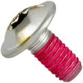 AKRAPOVIC REPLACEMENT PARTS BOLT FB38