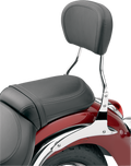 COBRA SISSY BARS SISSY BAR RND SH VLCN900