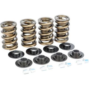 DUAL VALVE SPRING KIT FOR HARLEY-DAVIDSON 18209-06 18209-06