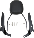 COBRA SISSY BARS SISSY BAR STD BLK PHANTOM