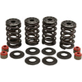 RACING VALVE SPRING KITS FOR HARLEY-DAVIDSON