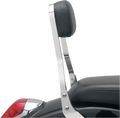 COBRA SISSY BARS SISSY BAR STD VT750C ACE