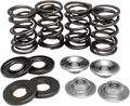 KIBBLEWHITE VALVES, VALVE GUIDES AND SPRINGS VALVE SPRING KIT BMW