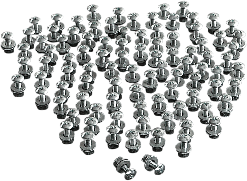 CHRIS PRODUCTS LICENSE PLATE FASTENERS LICENSE PLATE BOLTS-100P