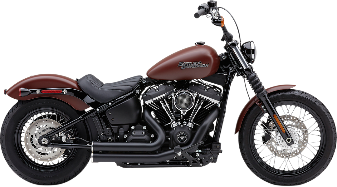 COBRA SPEEDSTER SHORT EXHAUST SYSTEMS WITH RACE PRO TIPS FOR HARLEY-DAVIDSON 2018 - 2020 Black Speedster Short Exhaust System