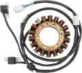 RICK'S MOTORSPORT ELECTRIC RECTIFIER/REGULATORS AND STATORS STATOR SUZUKI