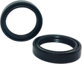 K&S TECHNOLOGIES  FORK SEAL 41X54X11