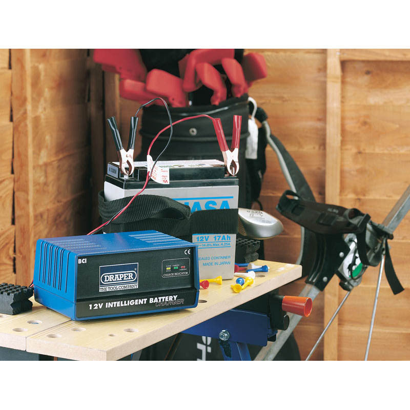 Cargador Inteligente De Baterias De Acido Y AGM