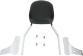 COBRA SISSY BARS SISSY BAR VN1500D