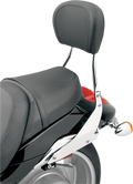 COBRA SISSY BARS SISSY BAR RND SH SPRT C2