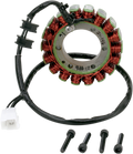 RICK'S MOTORSPORT ELECTRIC RECTIFIER/REGULATORS AND STATORS STATOR HONDA 21-146