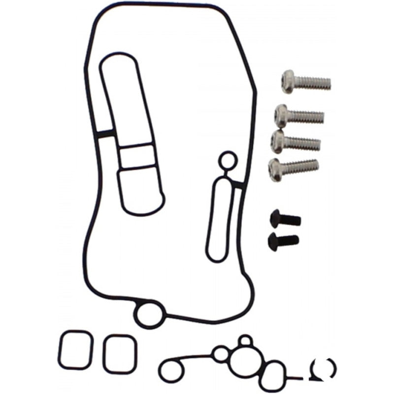 Kit de juntas tóricas FCR + tornillos Torx de carburador Tourmax TOURMAX MBO-450